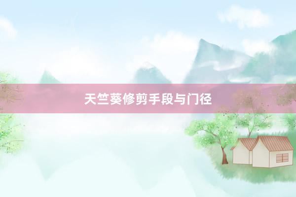 天竺葵修剪手段与门径
